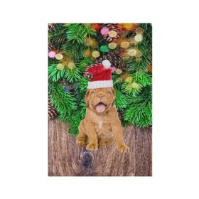Обложка для паспорта матовая кожа с принтом DOG в Тюмени, натуральная матовая кожа | размер 19,3 х 13,7 см; прозрачные пластиковые крепления | Тематика изображения на принте: christmas | new year | santa | год собаки | дед мороз | елка | елочки | новогодний | новый год | рождество | сантаклаус | снег | снежинки | собака