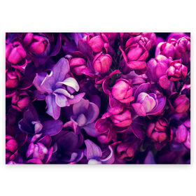 Поздравительная открытка с принтом цветы в Тюмени, 100% бумага | плотность бумаги 280 г/м2, матовая, на обратной стороне линовка и место для марки
 | Тематика изображения на принте: botany | bouquet | flowers | fuchsia | leaves | magnolia | peony | pink | vintage | ботаника | букет | винтаж | листья | магнолия | пион | розовый | фуксия | цветы