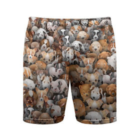 Мужские шорты 3D спортивные с принтом Щенки в Тюмени,  |  | Тематика изображения на принте: бультерьер | корги | мопс | паттерн | пес | питбуль | породы | собака | собачка | хаски | щенок
