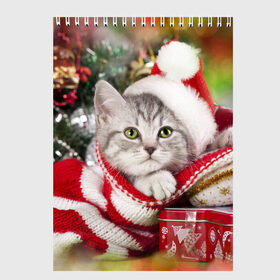 Скетчбук с принтом Новогодний котик в Тюмени, 100% бумага
 | 48 листов, плотность листов — 100 г/м2, плотность картонной обложки — 250 г/м2. Листы скреплены сверху удобной пружинной спиралью | елка | зима | кот | котейка | кошка | мороз | новый год | снег