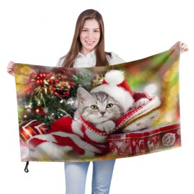 Флаг 3D с принтом Новогодний котик в Тюмени, 100% полиэстер | плотность ткани — 95 г/м2, размер — 67 х 109 см. Принт наносится с одной стороны | елка | зима | кот | котейка | кошка | мороз | новый год | снег