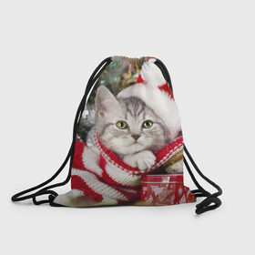 Рюкзак-мешок 3D с принтом Новогодний котик в Тюмени, 100% полиэстер | плотность ткани — 200 г/м2, размер — 35 х 45 см; лямки — толстые шнурки, застежка на шнуровке, без карманов и подкладки | елка | зима | кот | котейка | кошка | мороз | новый год | снег