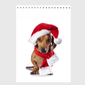Скетчбук с принтом Новый год со стилягами в Тюмени, 100% бумага
 | 48 листов, плотность листов — 100 г/м2, плотность картонной обложки — 250 г/м2. Листы скреплены сверху удобной пружинной спиралью | елка | зима | мороз | новый год | пес | снег | снежинки | собака
