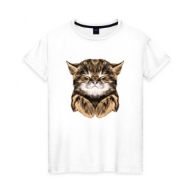 Женская футболка хлопок с принтом Котёнок в Тюмени, 100% хлопок | прямой крой, круглый вырез горловины, длина до линии бедер, слегка спущенное плечо | cat | животные | киса | кот | котенок | котик | кошка | сон | спит