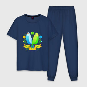 Мужская пижама хлопок с принтом Попугаи арт в Тюмени, 100% хлопок | брюки и футболка прямого кроя, без карманов, на брюках мягкая резинка на поясе и по низу штанин
 | Тематика изображения на принте: волнистый попугай | джунгли | попугай