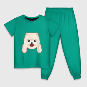Детская пижама хлопок с принтом Немецкий шпиц щеночек в Тюмени, 100% хлопок |  брюки и футболка прямого кроя, без карманов, на брюках мягкая резинка на поясе и по низу штанин
 | 