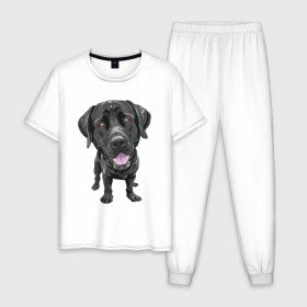 Мужская пижама хлопок с принтом Черный лабрадор в Тюмени, 100% хлопок | брюки и футболка прямого кроя, без карманов, на брюках мягкая резинка на поясе и по низу штанин
 | Тематика изображения на принте: домашние животные | лабрадоры | пес | песик | ретриверы | собака | собачка