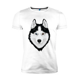 Мужская футболка премиум с принтом Хаски с разными глазами в Тюмени, 92% хлопок, 8% лайкра | приталенный силуэт, круглый вырез ворота, длина до линии бедра, короткий рукав | домашние животные | пес | собака