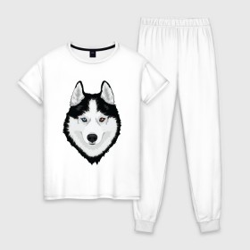 Женская пижама хлопок с принтом Хаски с разными глазами в Тюмени, 100% хлопок | брюки и футболка прямого кроя, без карманов, на брюках мягкая резинка на поясе и по низу штанин | домашние животные | пес | собака