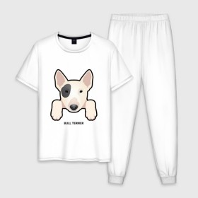 Мужская пижама хлопок с принтом Бультерьерчик в Тюмени, 100% хлопок | брюки и футболка прямого кроя, без карманов, на брюках мягкая резинка на поясе и по низу штанин
 | Тематика изображения на принте: домашние животные | пес | собака