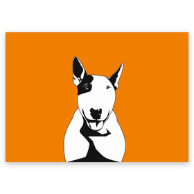 Поздравительная открытка с принтом Солнечнй бультерьер в Тюмени, 100% бумага | плотность бумаги 280 г/м2, матовая, на обратной стороне линовка и место для марки
 | бультерьер | домашние животные | пес | песик | собака | собачка