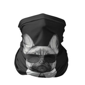 Бандана-труба 3D с принтом Бульдог в черном в Тюмени, 100% полиэстер, ткань с особыми свойствами — Activecool | плотность 150‒180 г/м2; хорошо тянется, но сохраняет форму | Тематика изображения на принте: бульдог | домашние животные | пес | песик | собака | собачка | французский бульдог