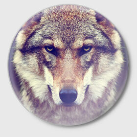 Значок с принтом Wolf в Тюмени,  металл | круглая форма, металлическая застежка в виде булавки | Тематика изображения на принте: animal | волк | хищник