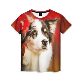 Женская футболка 3D с принтом Бордер колли в красных листьях в Тюмени, 100% полиэфир ( синтетическое хлопкоподобное полотно) | прямой крой, круглый вырез горловины, длина до линии бедер | border collie | dog | бордер колли | красный | листья | осень | собака