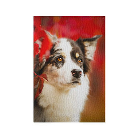 Обложка для паспорта матовая кожа с принтом Бордер колли в красных листьях в Тюмени, натуральная матовая кожа | размер 19,3 х 13,7 см; прозрачные пластиковые крепления | border collie | dog | бордер колли | красный | листья | осень | собака