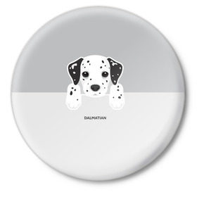 Значок с принтом Dalmatian Puppy в Тюмени,  металл | круглая форма, металлическая застежка в виде булавки | далматин | далматинец | домашние животные | пес | песик | собака | собачка | терьер | шпиц