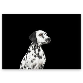 Поздравительная открытка с принтом Далматинец арт в Тюмени, 100% бумага | плотность бумаги 280 г/м2, матовая, на обратной стороне линовка и место для марки
 | далматин | далматинец | домашние животные | пес | песик | собака | собачка | терьер | шпиц