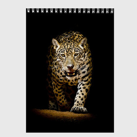 Скетчбук с принтом Leopard в Тюмени, 100% бумага
 | 48 листов, плотность листов — 100 г/м2, плотность картонной обложки — 250 г/м2. Листы скреплены сверху удобной пружинной спиралью | дикая кошка | зверь | клыки | кот | леопард | оскал | пантера | природа | хищник | ягуар