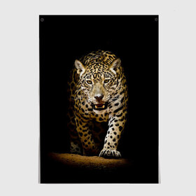 Постер с принтом Leopard в Тюмени, 100% бумага
 | бумага, плотность 150 мг. Матовая, но за счет высокого коэффициента гладкости имеет небольшой блеск и дает на свету блики, но в отличии от глянцевой бумаги не покрыта лаком | дикая кошка | зверь | клыки | кот | леопард | оскал | пантера | природа | хищник | ягуар