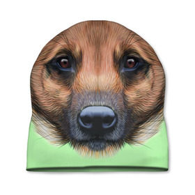 Шапка 3D с принтом Немецкая овчарка в Тюмени, 100% полиэстер | универсальный размер, печать по всей поверхности изделия | dog | овчарка | пес | песик | собака | собачка