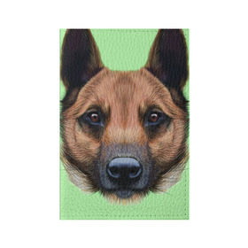 Обложка для паспорта матовая кожа с принтом Немецкая овчарка в Тюмени, натуральная матовая кожа | размер 19,3 х 13,7 см; прозрачные пластиковые крепления | Тематика изображения на принте: dog | овчарка | пес | песик | собака | собачка
