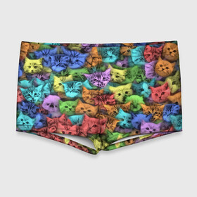 Мужские купальные плавки 3D с принтом Разноцветные коты в Тюмени, Полиэстер 85%, Спандекс 15% |  | котенок | котик | котята | кошка | кошки | паттерн