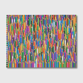 Альбом для рисования с принтом Разноцветные карандаши в Тюмени, 100% бумага
 | матовая бумага, плотность 200 мг. | дизайнер | карандаш | палитра | паттерн | радуга | рисование | рисунок | художник | цвет | цветной | школа