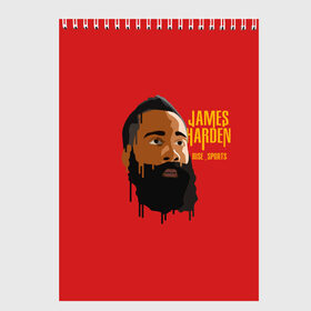 Скетчбук с принтом James Harden в Тюмени, 100% бумага
 | 48 листов, плотность листов — 100 г/м2, плотность картонной обложки — 250 г/м2. Листы скреплены сверху удобной пружинной спиралью | fear the beard | houston rockets | nba | rise sports | баскетбол | джеймс харден | нба | хьюстон рокетс