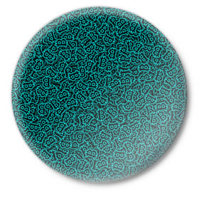 Значок с принтом Биткоин в Тюмени,  металл | круглая форма, металлическая застежка в виде булавки | 