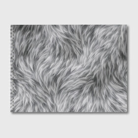 Альбом для рисования с принтом Шкура волка в Тюмени, 100% бумага
 | матовая бумага, плотность 200 мг. | волк | дикая | дикий | животное | лес | луна | ночь | собака | тьма