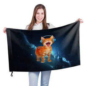 Флаг 3D с принтом Котёнок в наушниках в Тюмени, 100% полиэстер | плотность ткани — 95 г/м2, размер — 67 х 109 см. Принт наносится с одной стороны | кот | кошка | музыка