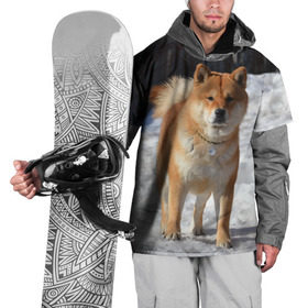 Накидка на куртку 3D с принтом Акита-ину в Тюмени, 100% полиэстер |  | Тематика изображения на принте: акита | животное | животные | ину | овчарка | пес | песик | псы | сиба | собака | собаки | шиба