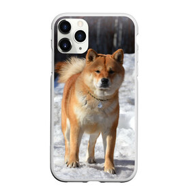 Чехол для iPhone 11 Pro матовый с принтом Акита-ину в Тюмени, Силикон |  | акита | животное | животные | ину | овчарка | пес | песик | псы | сиба | собака | собаки | шиба