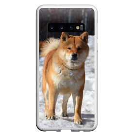 Чехол для Samsung Galaxy S10 с принтом Акита-ину в Тюмени, Силикон | Область печати: задняя сторона чехла, без боковых панелей | Тематика изображения на принте: акита | животное | животные | ину | овчарка | пес | песик | псы | сиба | собака | собаки | шиба
