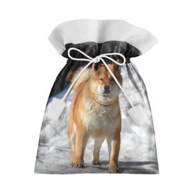 Подарочный 3D мешок с принтом Акита-ину в Тюмени, 100% полиэстер | Размер: 29*39 см | Тематика изображения на принте: акита | животное | животные | ину | овчарка | пес | песик | псы | сиба | собака | собаки | шиба