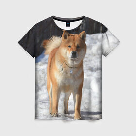 Женская футболка 3D с принтом Акита-ину в Тюмени, 100% полиэфир ( синтетическое хлопкоподобное полотно) | прямой крой, круглый вырез горловины, длина до линии бедер | акита | животное | животные | ину | овчарка | пес | песик | псы | сиба | собака | собаки | шиба
