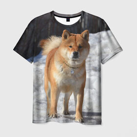 Мужская футболка 3D с принтом Акита-ину в Тюмени, 100% полиэфир | прямой крой, круглый вырез горловины, длина до линии бедер | Тематика изображения на принте: акита | животное | животные | ину | овчарка | пес | песик | псы | сиба | собака | собаки | шиба