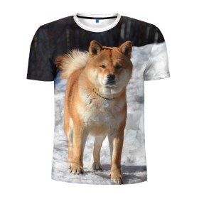 Мужская футболка 3D спортивная с принтом Акита-ину в Тюмени, 100% полиэстер с улучшенными характеристиками | приталенный силуэт, круглая горловина, широкие плечи, сужается к линии бедра | акита | животное | животные | ину | овчарка | пес | песик | псы | сиба | собака | собаки | шиба