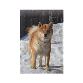 Обложка для паспорта матовая кожа с принтом Акита-ину в Тюмени, натуральная матовая кожа | размер 19,3 х 13,7 см; прозрачные пластиковые крепления | Тематика изображения на принте: акита | животное | животные | ину | овчарка | пес | песик | псы | сиба | собака | собаки | шиба