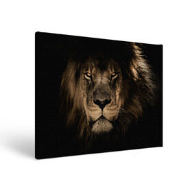 Холст прямоугольный с принтом Лев в Тюмени, 100% ПВХ |  | Тематика изображения на принте: животные | кошка | лев | мордочка | природа | тигр | хищник