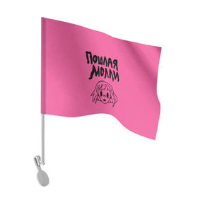 Флаг для автомобиля с принтом Пошлая Молли в Тюмени, 100% полиэстер | Размер: 30*21 см | инди | кирилл бледный | молли | пошлая молли