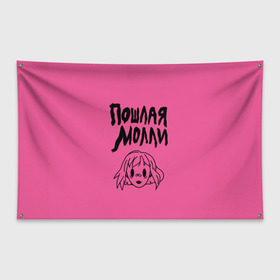 Флаг-баннер с принтом Пошлая Молли в Тюмени, 100% полиэстер | размер 67 х 109 см, плотность ткани — 95 г/м2; по краям флага есть четыре люверса для крепления | инди | кирилл бледный | молли | пошлая молли