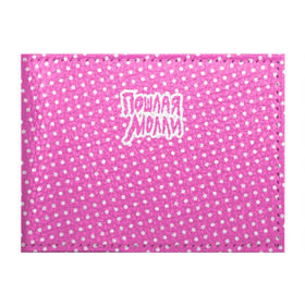 Обложка для студенческого билета с принтом Pink Molly в Тюмени, натуральная кожа | Размер: 11*8 см; Печать на всей внешней стороне | Тематика изображения на принте: инди | кирилл бледный | молли | пошлая молли