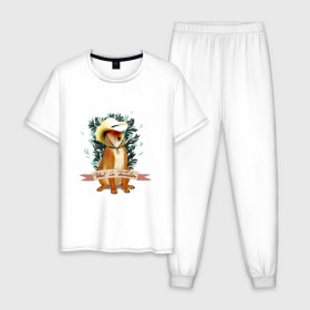 Мужская пижама хлопок с принтом What in Tarnation? в Тюмени, 100% хлопок | брюки и футболка прямого кроя, без карманов, на брюках мягкая резинка на поясе и по низу штанин
 | dog | doge | meme | memes | мем | мемы | собака | собакен | шиба ину