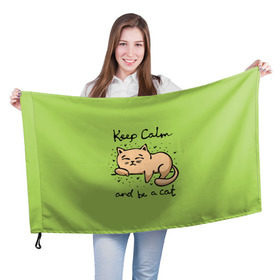 Флаг 3D с принтом Keep Calm and be a cat в Тюмени, 100% полиэстер | плотность ткани — 95 г/м2, размер — 67 х 109 см. Принт наносится с одной стороны | cat | keep calm | домашние любимцы | животные | котики | котэ | котята | любовь | милые
