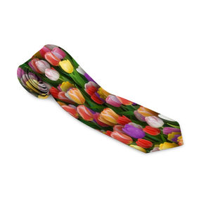 Галстук 3D с принтом Разноцветные тюльпаны в Тюмени, 100% полиэстер | Длина 148 см; Плотность 150-180 г/м2 | 8 марта | tulip | белый | букет | желтый | зеленый | красный | паттерн | розовый | тюльпан | тюльпанчики | цветок | цветочки | цветы