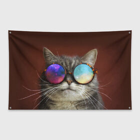 Флаг-баннер с принтом котейки в Тюмени, 100% полиэстер | размер 67 х 109 см, плотность ткани — 95 г/м2; по краям флага есть четыре люверса для крепления | cat | взгляд | космос | кот | котик | очки