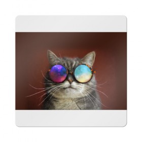 Магнит виниловый Квадрат с принтом котейки в Тюмени, полимерный материал с магнитным слоем | размер 9*9 см, закругленные углы | cat | взгляд | космос | кот | котик | очки