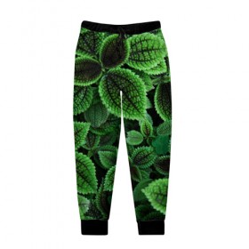 Мужские брюки 3D с принтом Зелень в Тюмени, 100% полиэстер | манжеты по низу, эластичный пояс регулируется шнурком, по бокам два кармана без застежек, внутренняя часть кармана из мелкой сетки | 