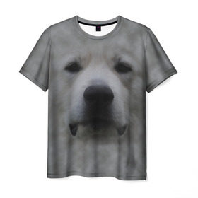 Мужская футболка 3D с принтом Лабрадор в Тюмени, 100% полиэфир | прямой крой, круглый вырез горловины, длина до линии бедер | голова | животные | лабрадор | пес | природа | собака | собачка | щенок
